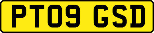 PT09GSD