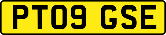 PT09GSE