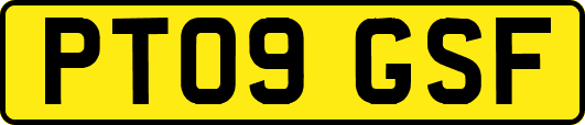 PT09GSF