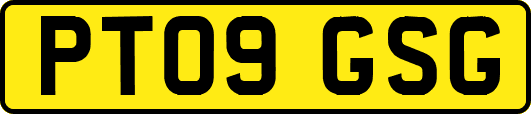 PT09GSG
