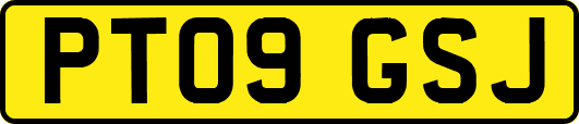 PT09GSJ