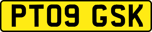 PT09GSK