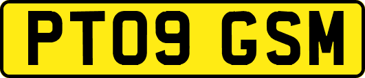PT09GSM