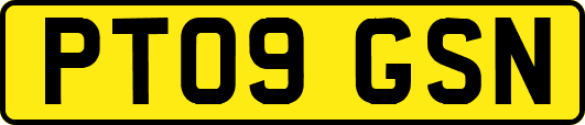 PT09GSN