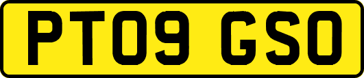 PT09GSO