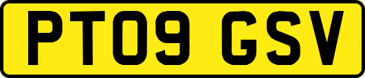 PT09GSV
