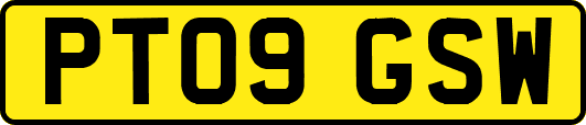 PT09GSW