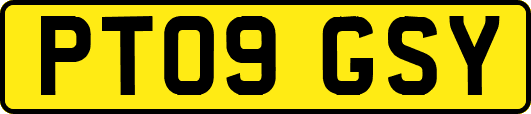 PT09GSY