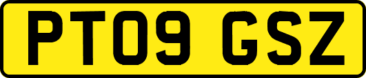 PT09GSZ