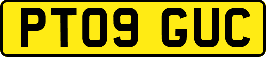 PT09GUC