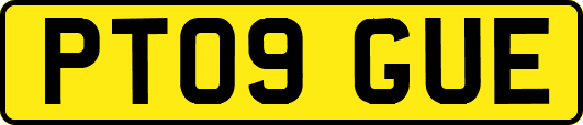 PT09GUE