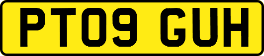 PT09GUH