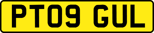 PT09GUL