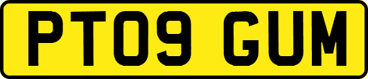 PT09GUM