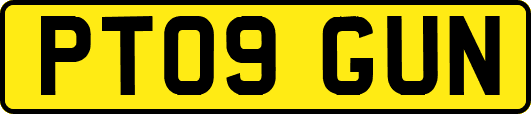 PT09GUN