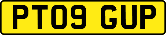 PT09GUP