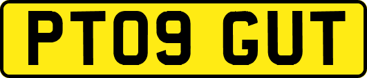 PT09GUT
