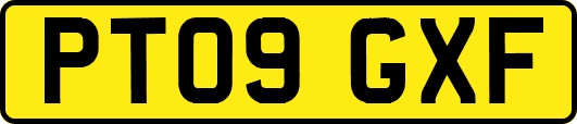 PT09GXF