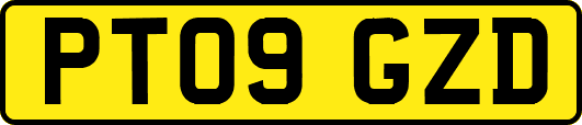 PT09GZD