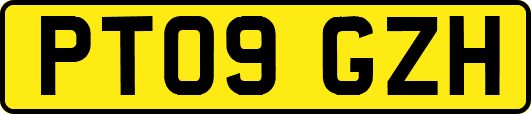 PT09GZH