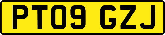 PT09GZJ