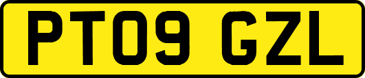 PT09GZL