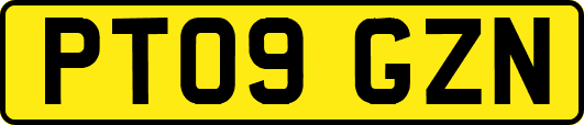 PT09GZN