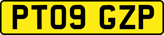 PT09GZP