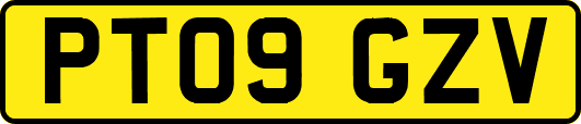 PT09GZV
