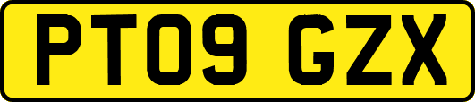 PT09GZX