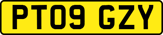 PT09GZY