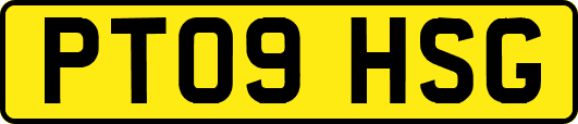 PT09HSG