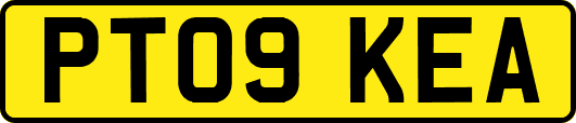 PT09KEA
