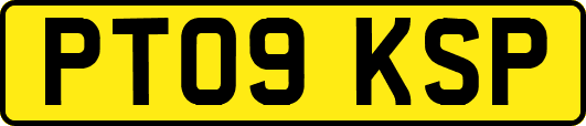 PT09KSP