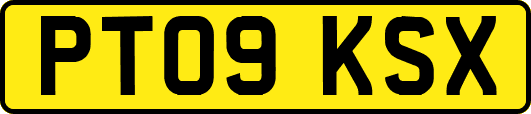 PT09KSX