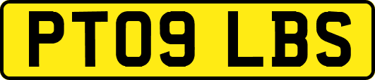 PT09LBS