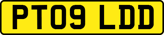 PT09LDD