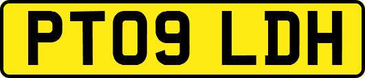 PT09LDH