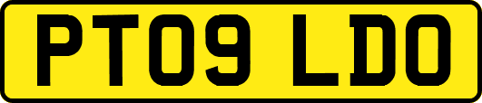 PT09LDO