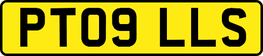 PT09LLS
