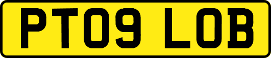 PT09LOB