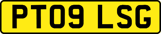 PT09LSG