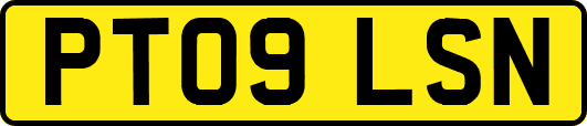 PT09LSN