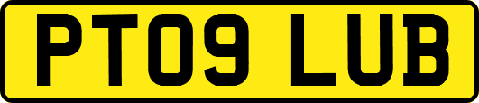 PT09LUB