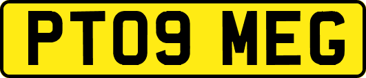 PT09MEG