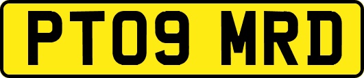 PT09MRD