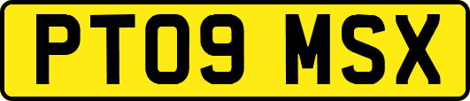 PT09MSX