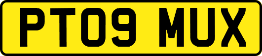 PT09MUX