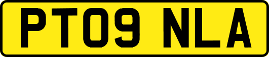 PT09NLA