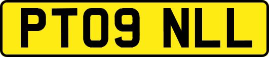PT09NLL